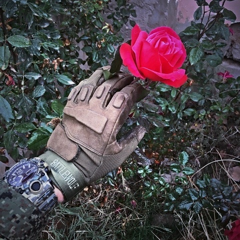 Андрей Медведев